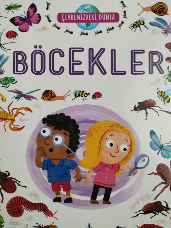 Çevremizdeki Dünya Böcekler