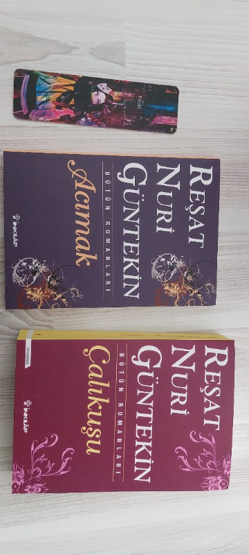Çalıkuşu - Reşat Nuri Güntekin