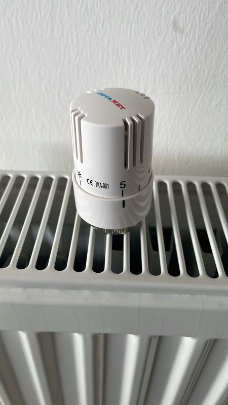Baypayo Aqua Termostatik Vana Kafası