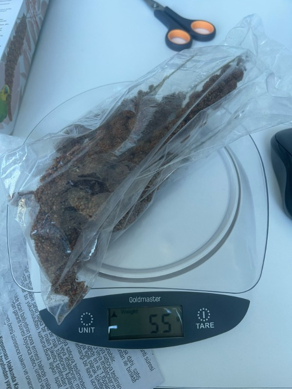 Jungle Doğal Dal Darı 5 Li Paket