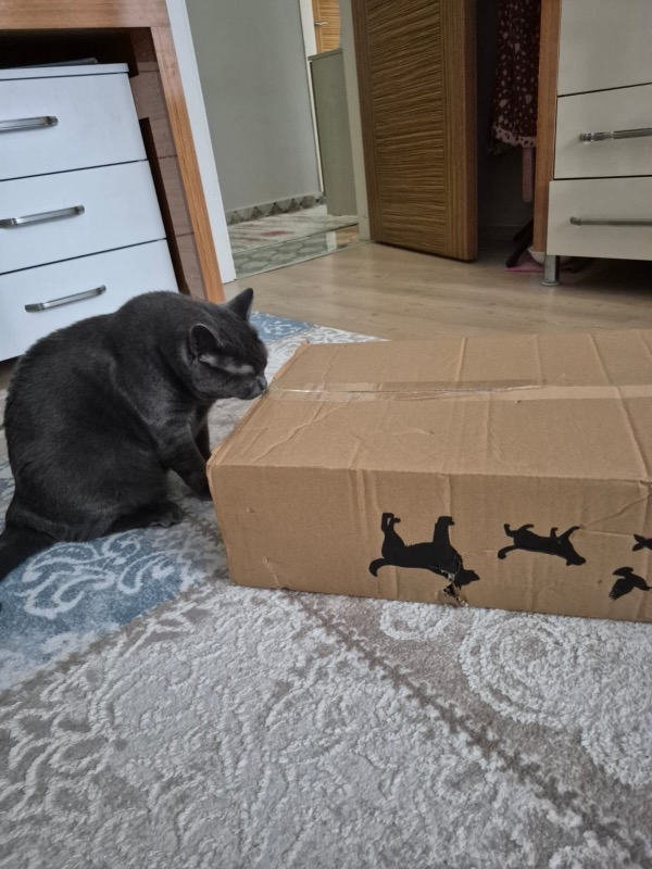 Pro Plan Somonlu Kısırlaştırılmış Kuru Kedi Maması 10+2 Kg