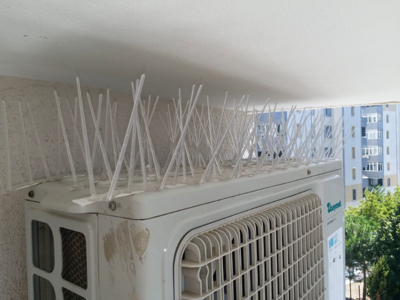 Expel Plastik Kuşkonmaz Bariyer Kuş Engelleyici Tel 3D Model 5'li