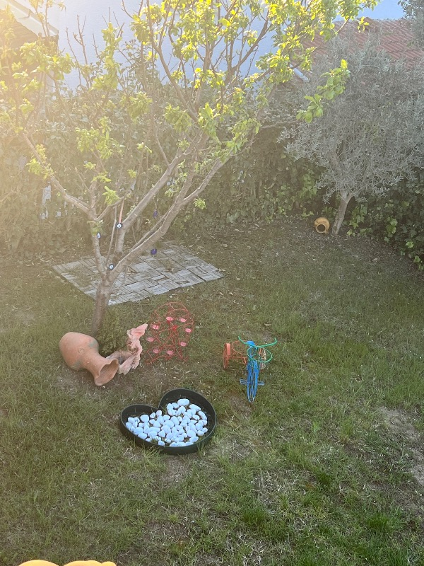 visual-comment-img