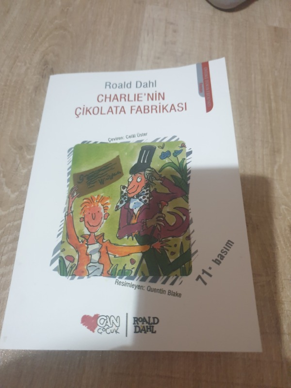 Can Çocuk - Charlienin Çikolata Fabrikası - Roald Dahl