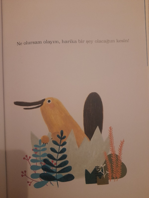 Petra - Marianna Coppo
