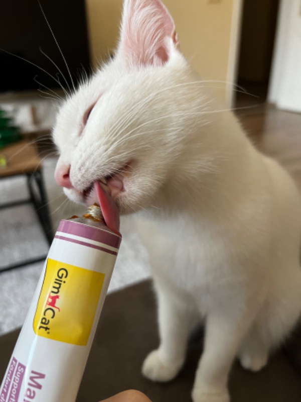 GimCat Malt Soft-Extra Pasta 100 Gr