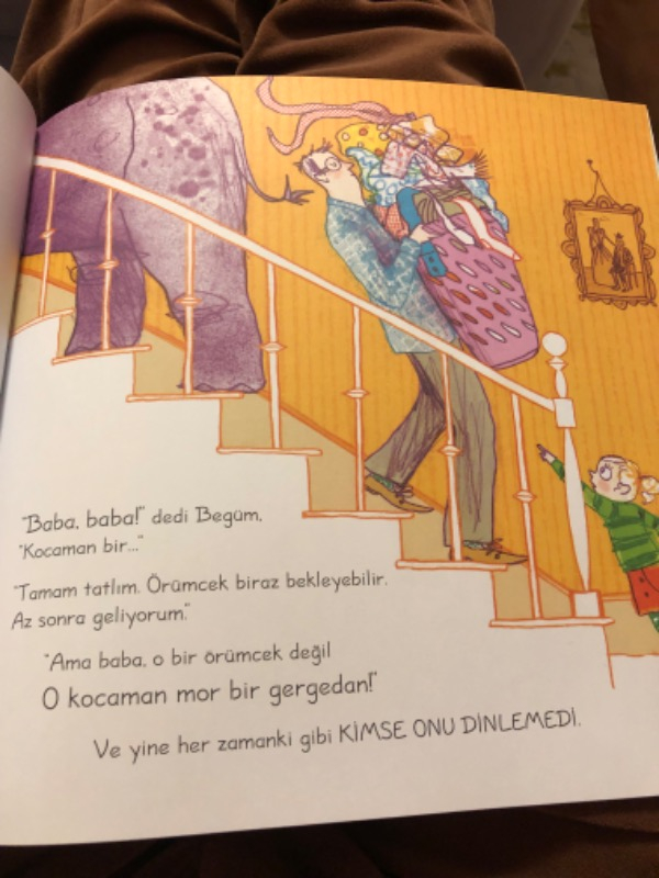 Gergedanlar Krep Yemez - Sara Ogilvie