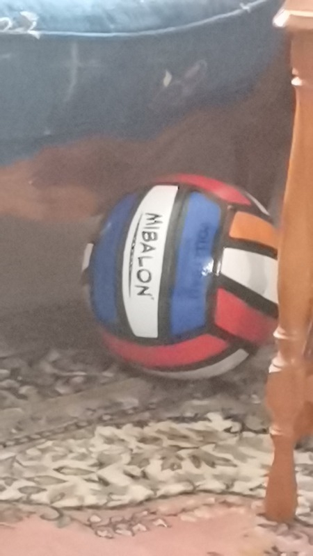 Anka Voleybol Topu (Profesyonel Boy)