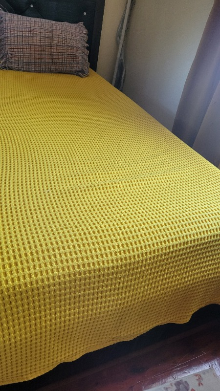 Mulberry Havuzlu Battal Boy Pike 240 x 260 cm