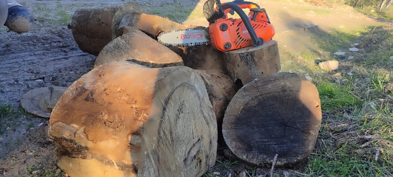 Palmera ZL2501 Pro Motorlu Testere