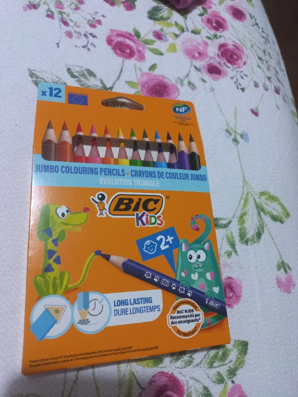 Bic Evolution Üçgen jumbo Boya Kalemi 12 Renk 1632