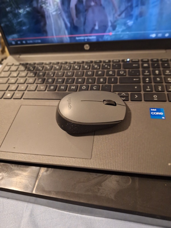Logitech M170 USB Alıcılı Kablosuz Kompakt Mouse - Gri