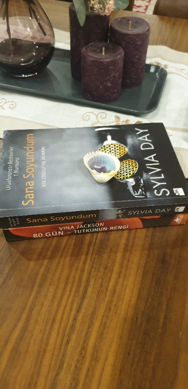 Sana Soyundum - Sylvia Day