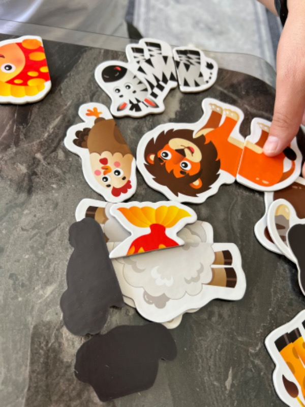 İlk Magnet Puzzle 12 - 36 ay