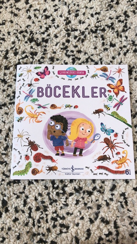 Çevremizdeki Dünya Böcekler
