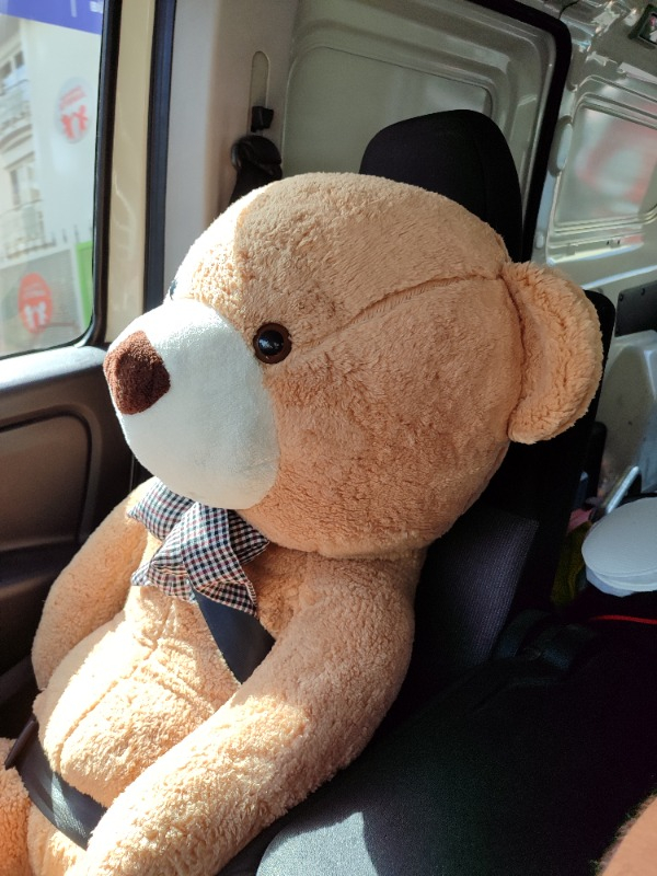 SOLE 130 Cm Papyonlu Dev Boy Peluş Ayı D1-130