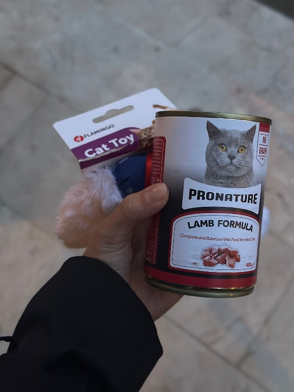 visual-comment-img