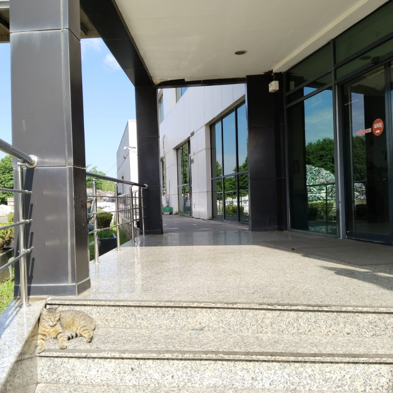 Repel Rh 1500 Elektronik Kedi Köpek Hayvan Kovucu