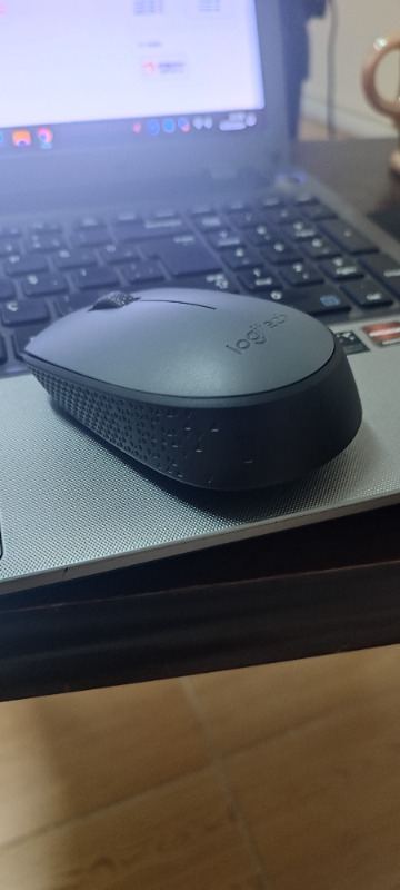 Logitech M170 USB Alıcılı Kablosuz Kompakt Mouse - Gri