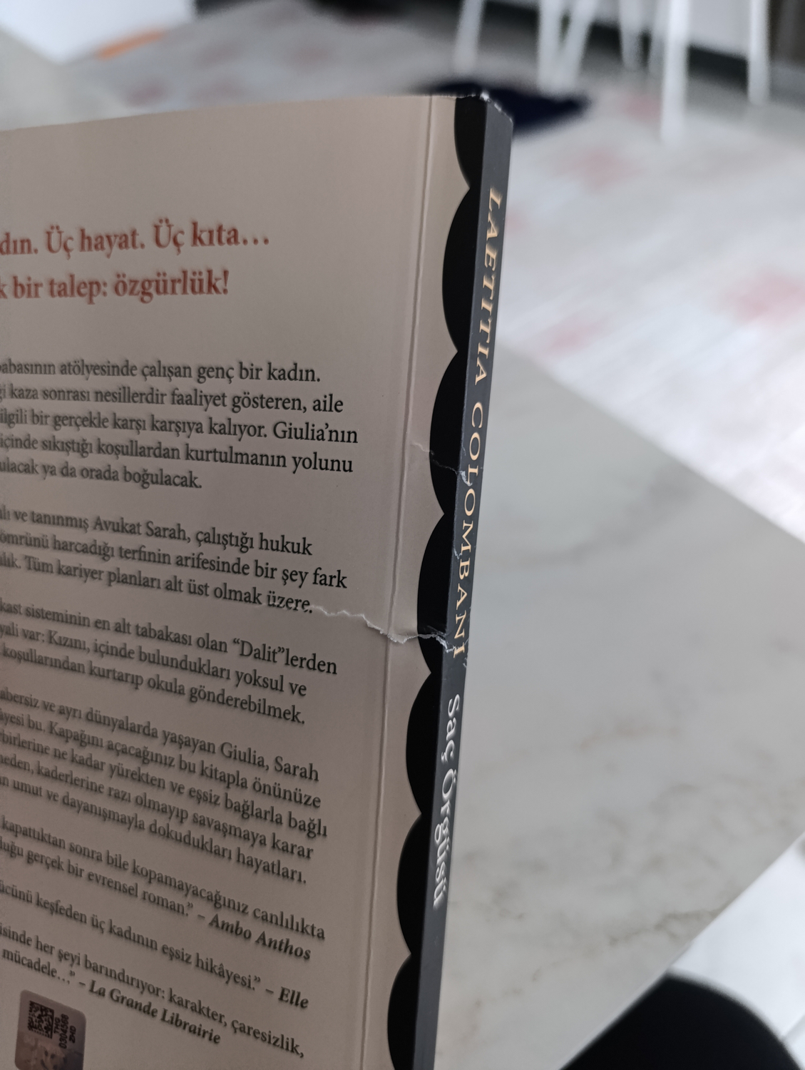 Yan Pasaj Saç Örgüsü - Laetitia Colombani Ciltsiz Kitap 188 Sayfa 2020 Yayınevi Pasaj