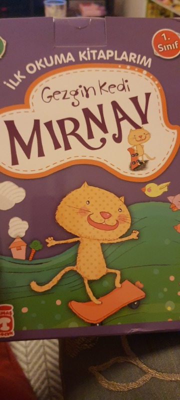 Gezgin Kedi Mırnav Ilk Okuma - Fatma Işık