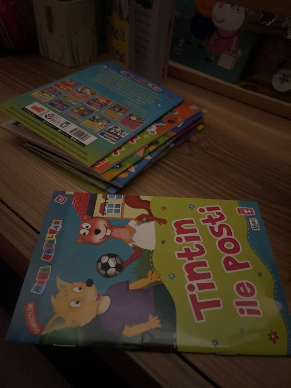 Mini Masallar Seti 3 (10 Kitap) - Nalan Aktaş Sönmez