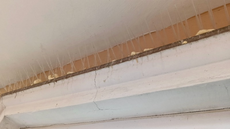 Kovmatik Kuşkonmaz Plikarbon Plastik Tel 3 M