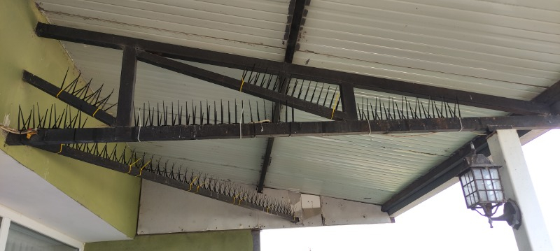 Tekinoğlu Plastik Kuşkonmaz 20'li Siyah 50 cm