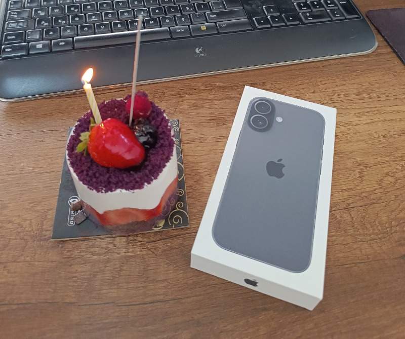 Apple iPhone 17 256 GB Siyah