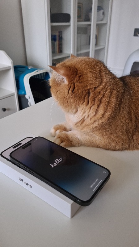 iPhone 14 Pro Max 128 GB