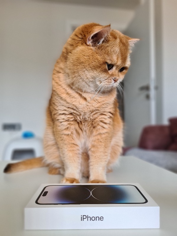 iPhone 14 Pro Max 128 GB