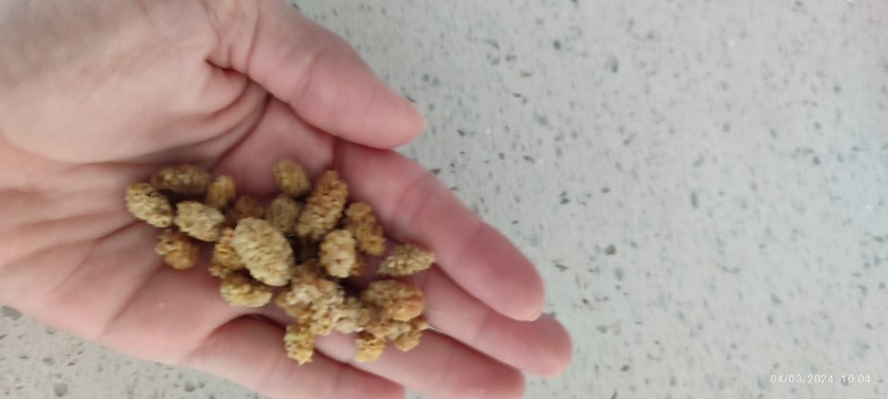Kuru Yeşil Beyaz Dut Kurusu 150 gr  | ULUKALE DUTU, Şeker İlavesiz, Kuru Meyve, GDOsuz