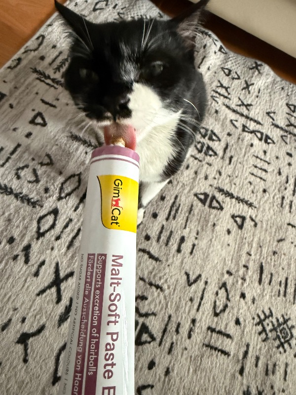 Gimcat Malt Soft Extra 100 gr