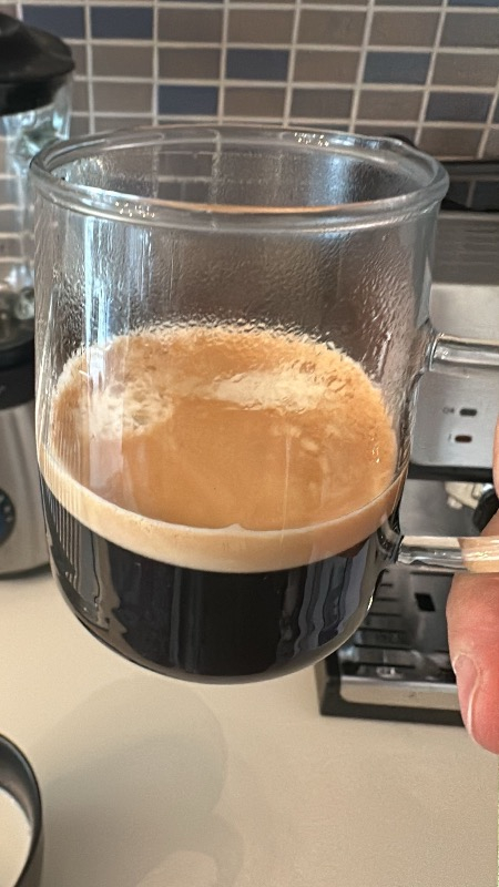 Delonghi Manuel / Barista Tipi Espresso Makinesi ECP 35.31
