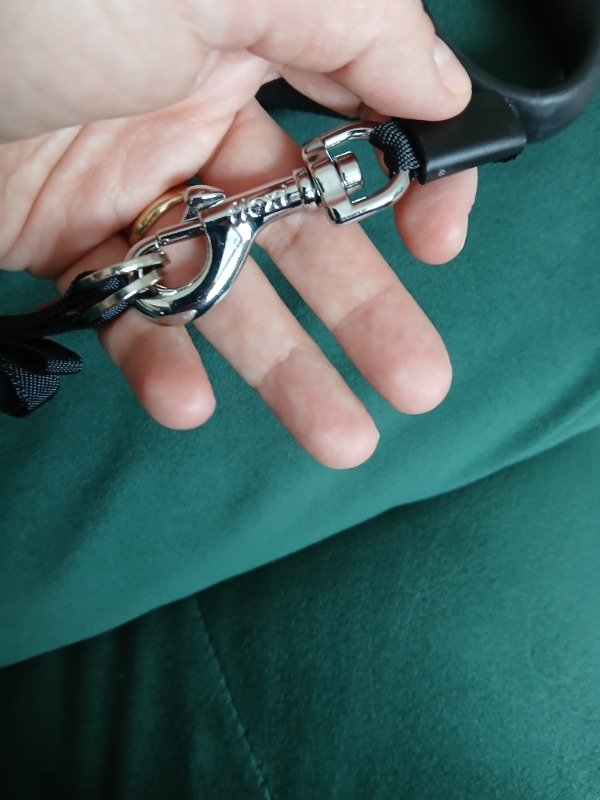 Flexi Siyah Seri Medium 5 Mt Şerit Otomatik Tasma Siyah