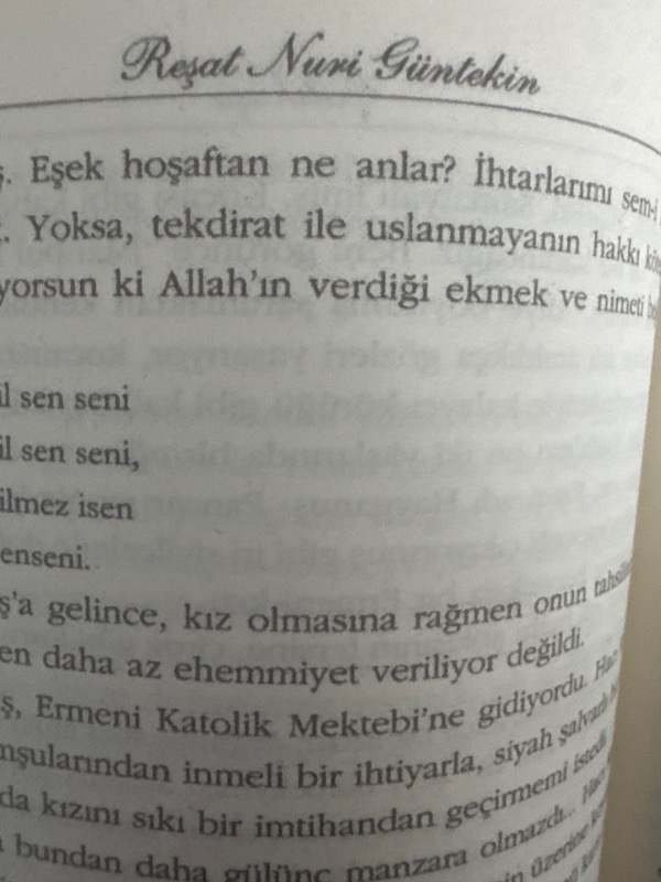 İnkılap Kitabevi Çalıkuşu - Reşat Nuri Güntekin Ciltsiz 376 Sayfa Türkçe Edebiyat Eseri
