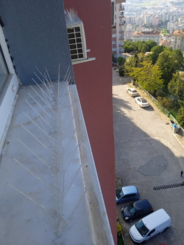 Plastik Kuşkonmaz Bariyer Kuş Engelleyici Tel 3D Model 10'lu