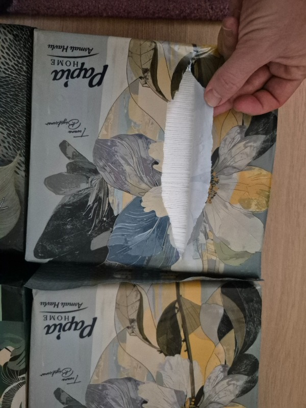 Papia Home Asmalı Havlu x 2