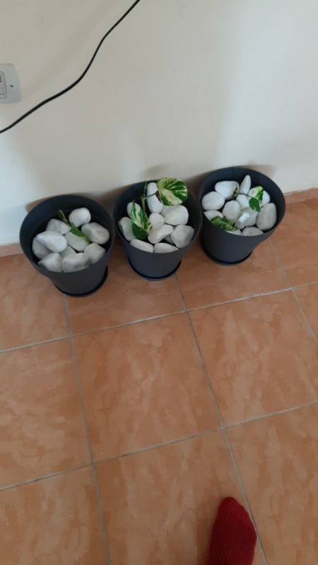 Serinova Yalı Saksı 6 lt Antrasit