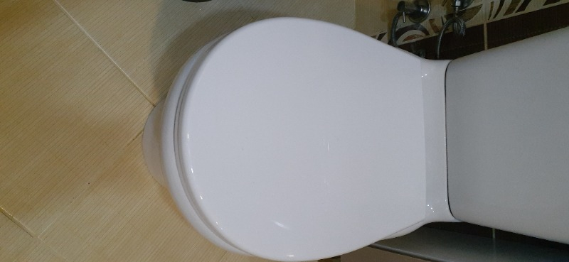 Nkp Çocuk + Yetişkin Klozet Kapağı