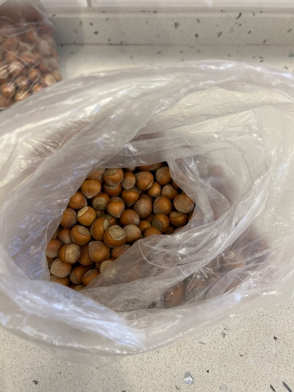 Giresun Kabuklu Fındık Fındık 1 kg
