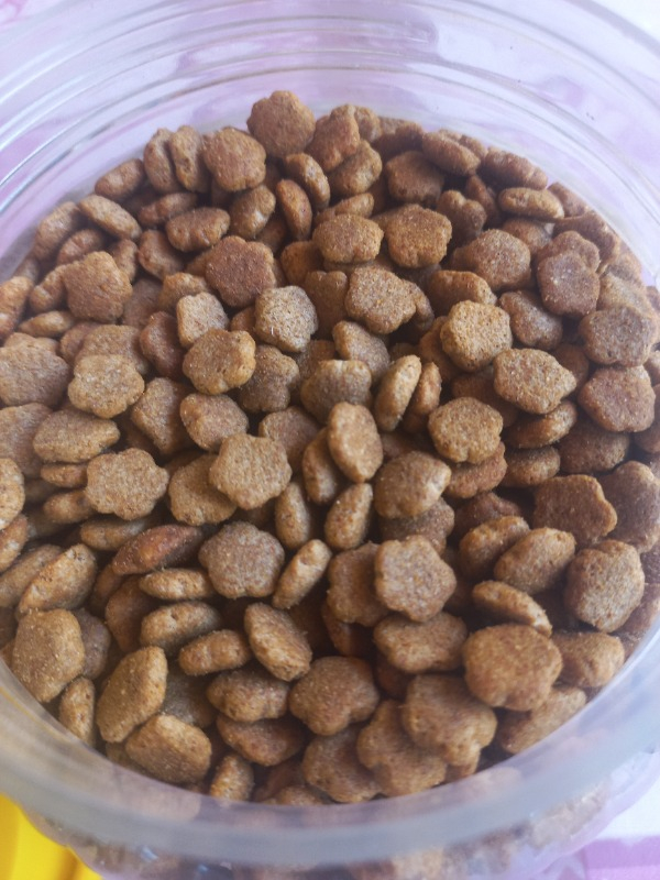 King Kuzu Etli Kedi Maması 15 Kg