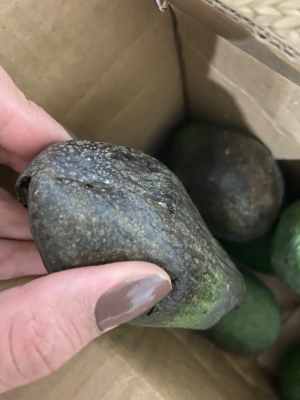 AVOKADO 1 KG TAZE HASAT