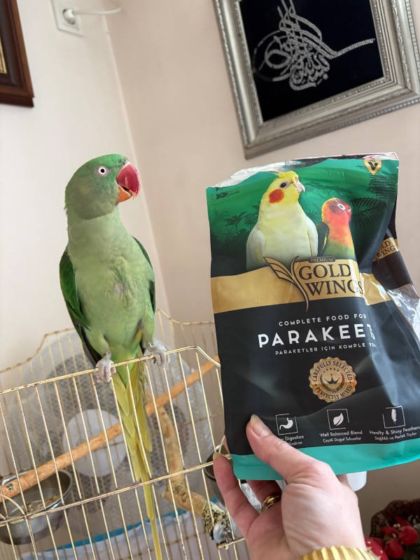 Gold Wings Premium Paraket Yemi 1 kg – Sarı ve Kızıl Darı, Aspir, Mısır, Ay Çekirdeği ve Vitaminli Galeta İçerikli Karışım