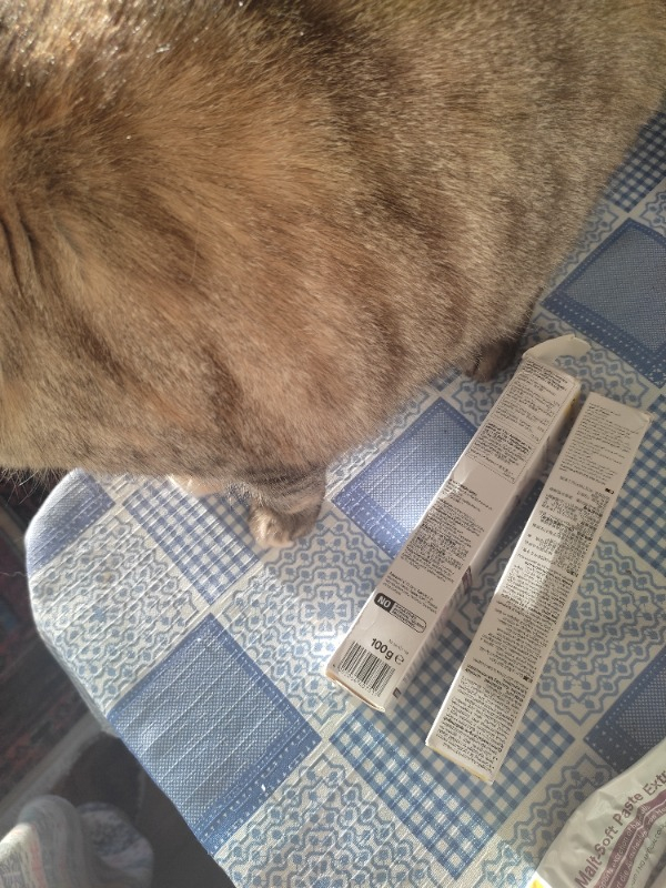 Gimcat Malt Soft Extra Kedi Macunu 100 gr – Doğal Malt Aromalı, Tüy Yumağı Oluşumunu Önleyen, Yetişkin Kedilere Özel