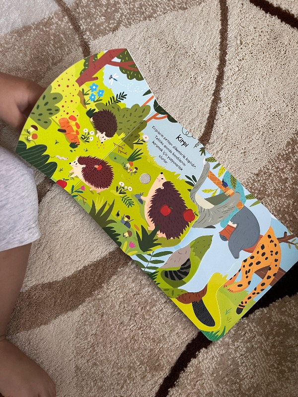 Çalışkan Hayvanlar - Orman (Sesli Kitap)