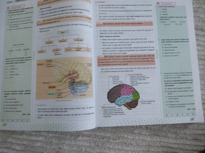visual-comment-img