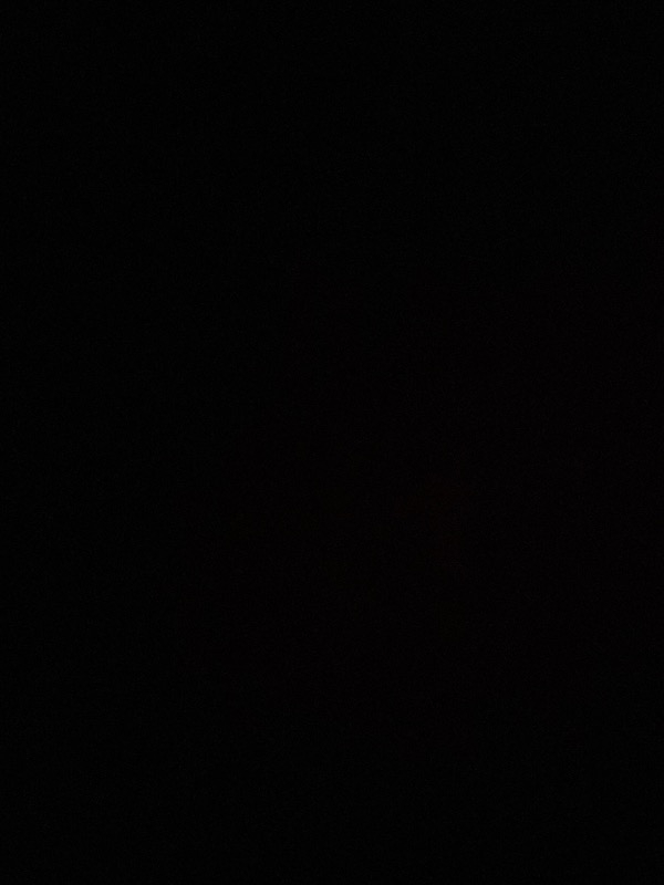 Çorap Kurdu 10'lu Ekonomik Paket Gri Patik Çorap