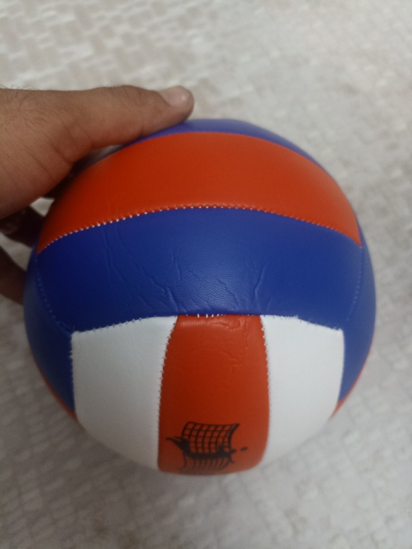 Anka Voleybol Topu (Profesyonel Boy)