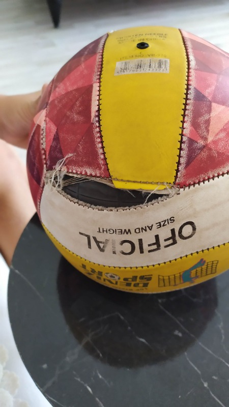 Anka Voleybol Topu (Profesyonel Boy)